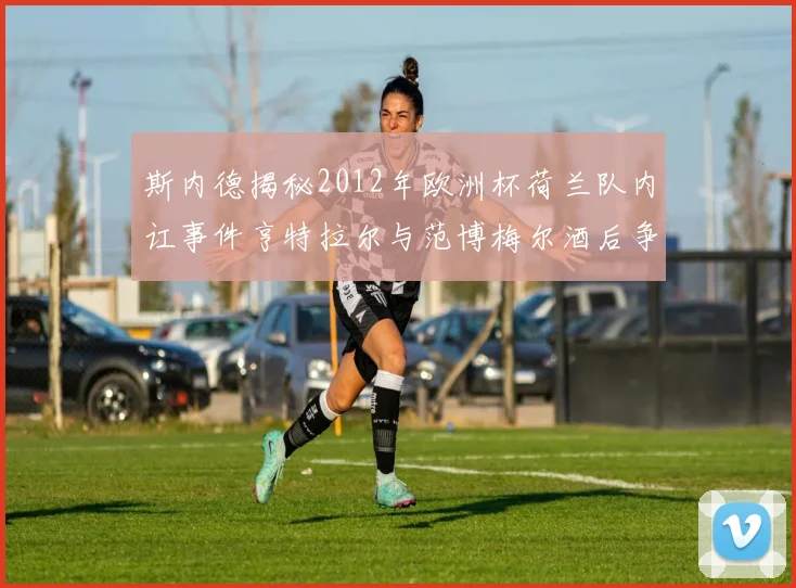 斯内德揭秘2012年欧洲杯荷兰队内讧事件亨特拉尔与范博梅尔酒后争执内幕