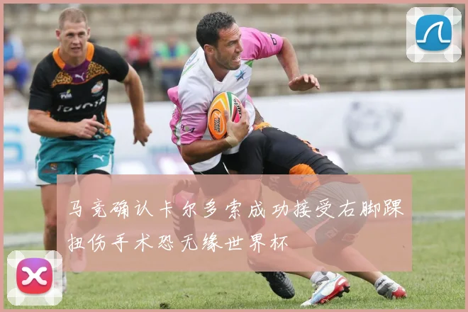 马竞确认卡尔多索成功接受右脚踝扭伤手术恐无缘世界杯